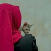choity.mojumder