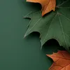 ahmad.ahmad5376