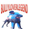 bullyloverlegend