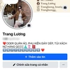 trangluongboutique2