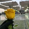 syedabukhari179