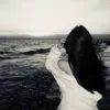 znzn_100
