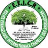 eecir.bnin.tv