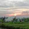 tiqiti2002