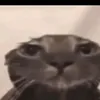 uglyversionme