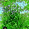 ahsanhabib6655gma