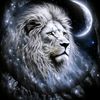 leo631364