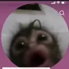 ngocanh2k3.com