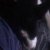 shigaraki442