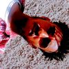 amru.kb