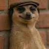 mrpoeticpotato