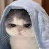titannoqla