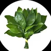 userly513
