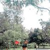 viki.prtm