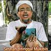 hamaspunah