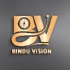 Bindu Vision