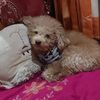 candra.mery