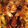 arjun.arjun98