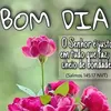 agueda.lini