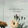 hudaalsharif769