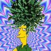 sideshow_bob8