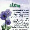 rapieasaleh