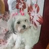 lanita_y_zulay