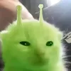 kosmitek4