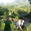 asim.asim6515