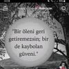 elnur364