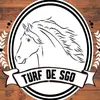 turfdesgo.oficial