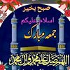 shanimobilejhelum