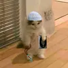 kelokealh