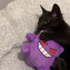 korazuu