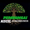 pembonsai_kecil