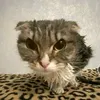зима короче 🩵🩵