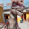 s27_s.tu.amigo