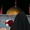 shianehaider82