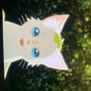 catlover4121