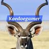 koedoegamer