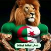 hammouni.lamine