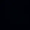 silv_045
