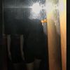 juliana.ramos053