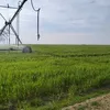 user4130040610822