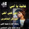 ayaahmedaye591