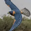 thubboy