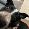jackywacky139