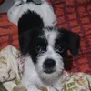 diva1256gmail.com