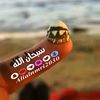 alialnmari5