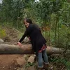maria.viveiros17